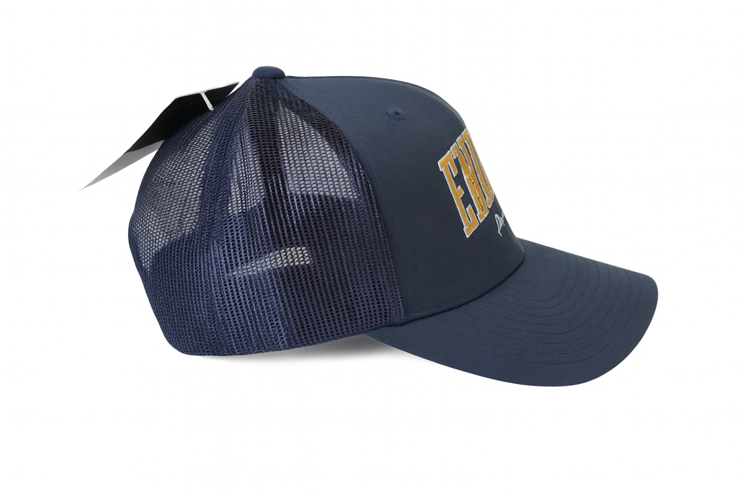 Endless Stadium Snapback, LIMITED EDITION